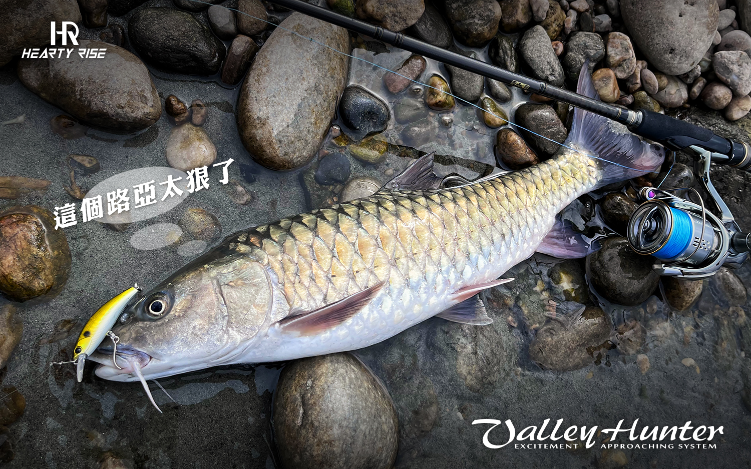 324668875_3358913204436166_6327647913919225351_n