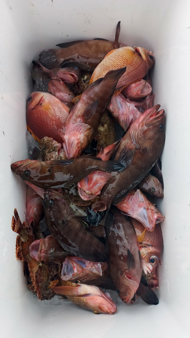 LINE_ALBUM_20230329北區教育訓練-淡水一支釣_230330_12