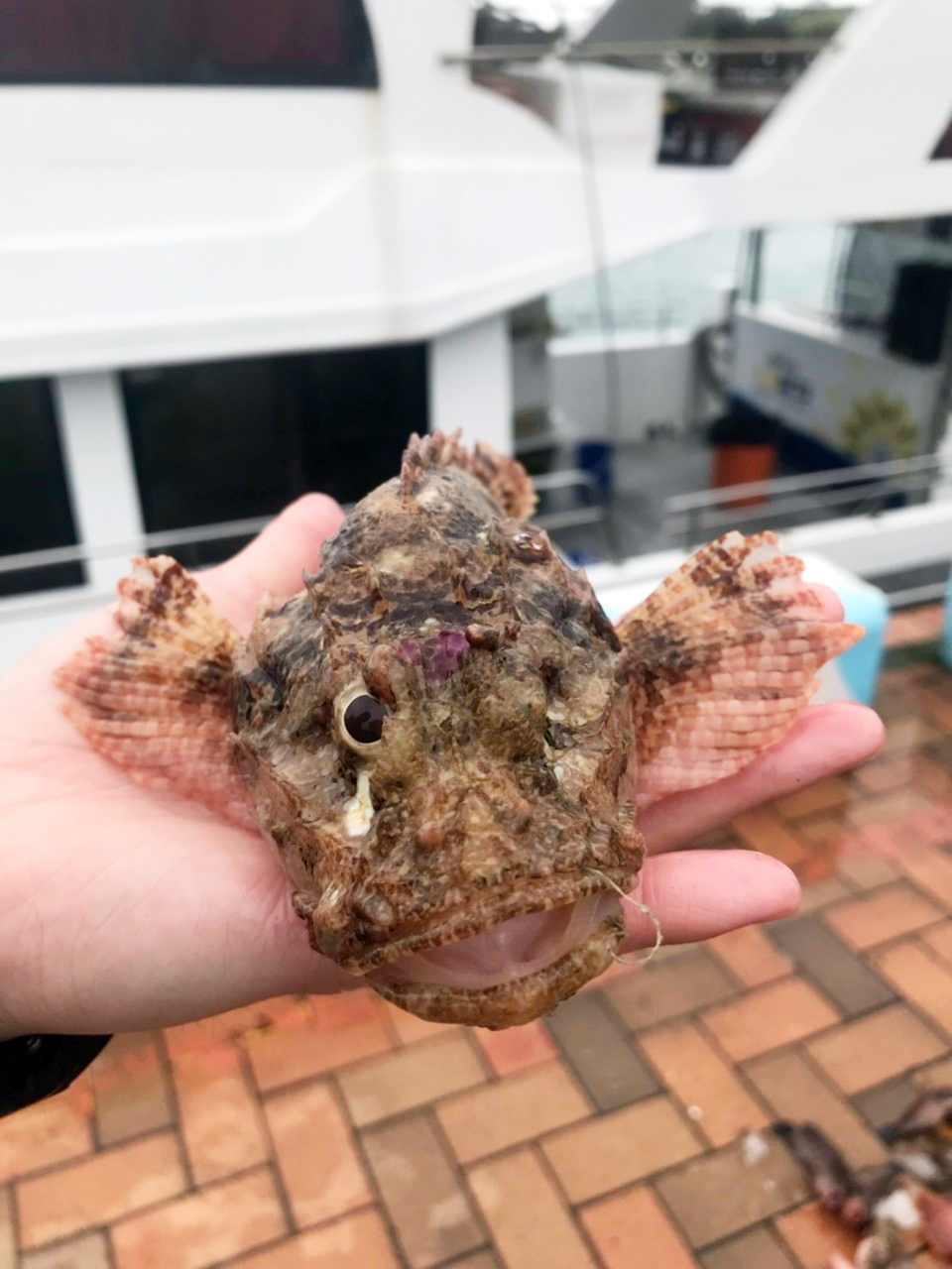 LINE_ALBUM_20230329北區教育訓練-淡水一支釣_230330_4