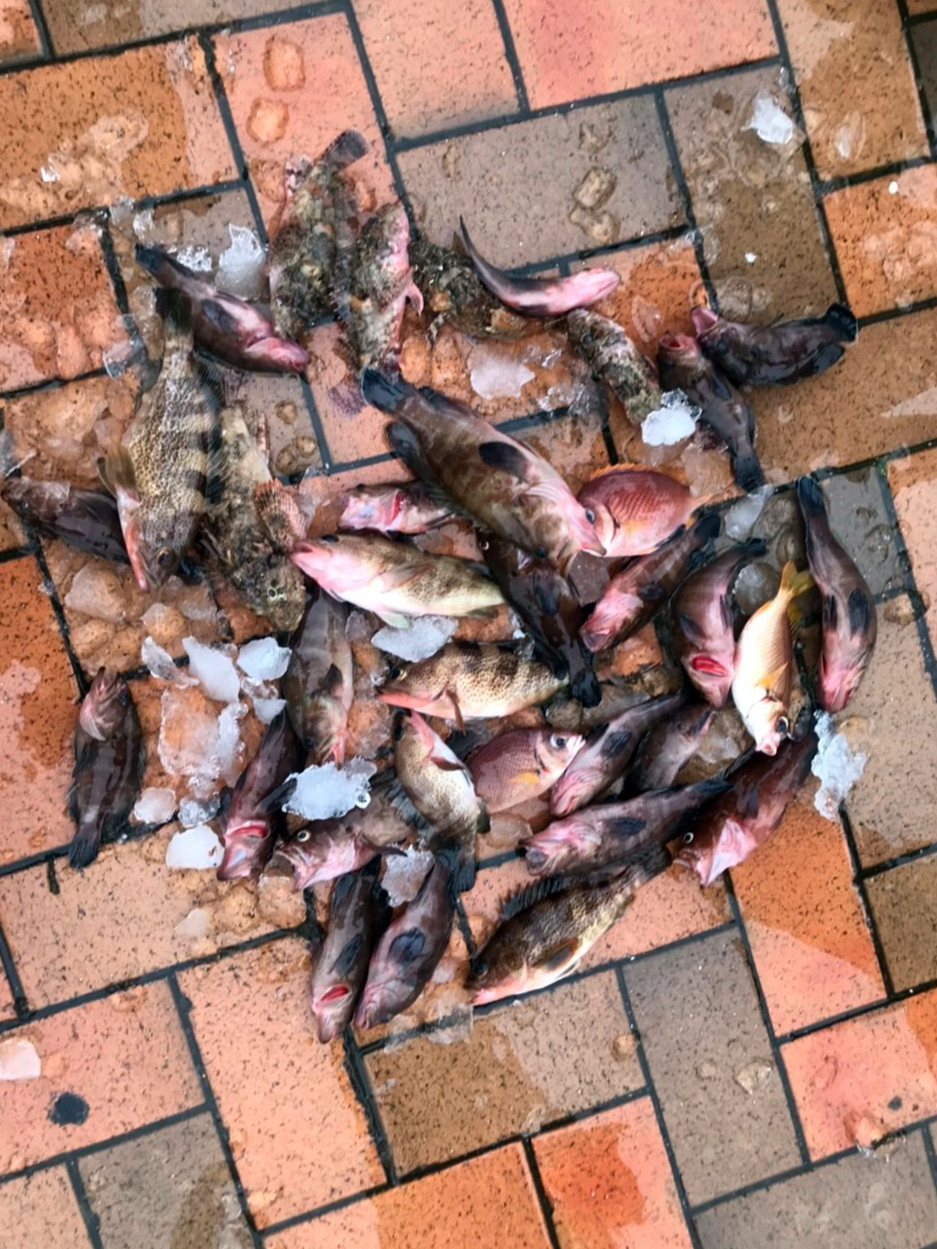 LINE_ALBUM_20230329北區教育訓練-淡水一支釣_230330_5