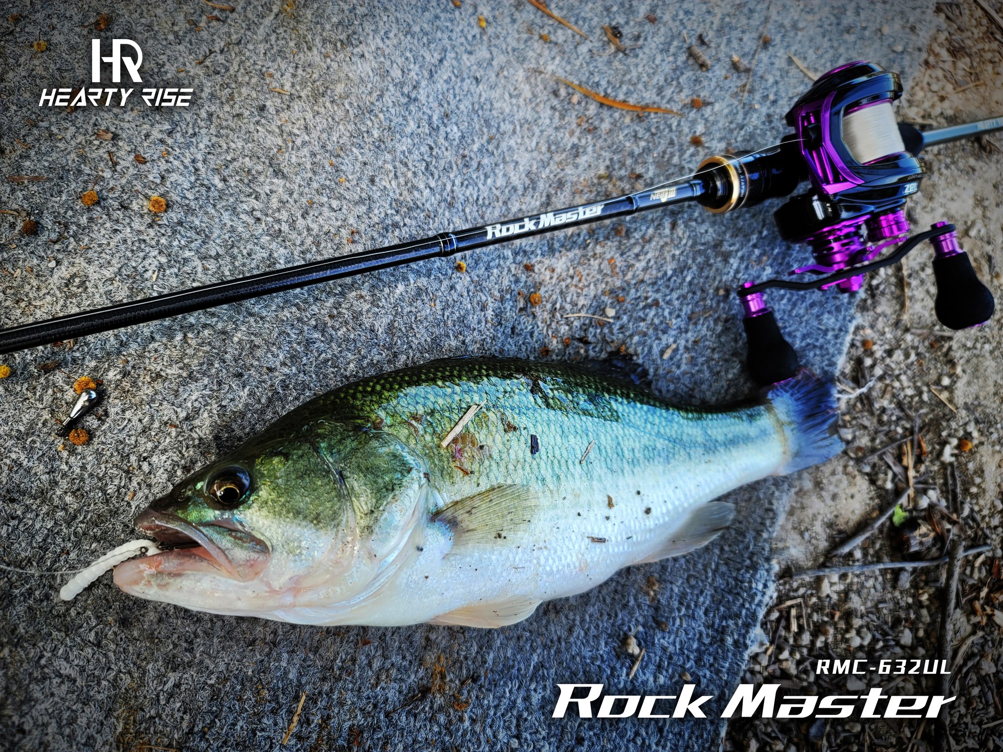 348215931_782585293434498_6060496110338847155_n