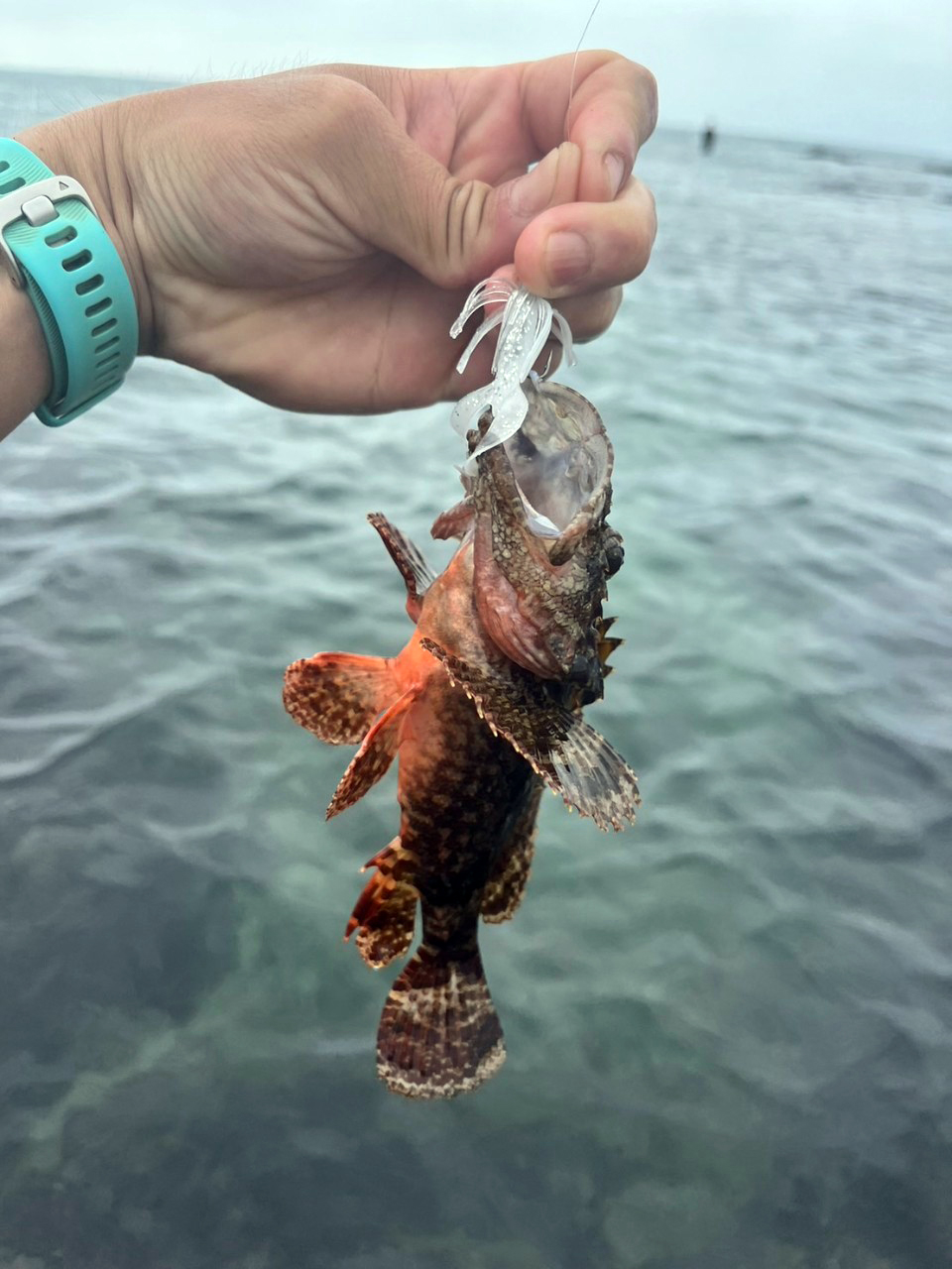 LINE_ALBUM_20230503教育訓練-麟山鼻海水根魚_230504_12