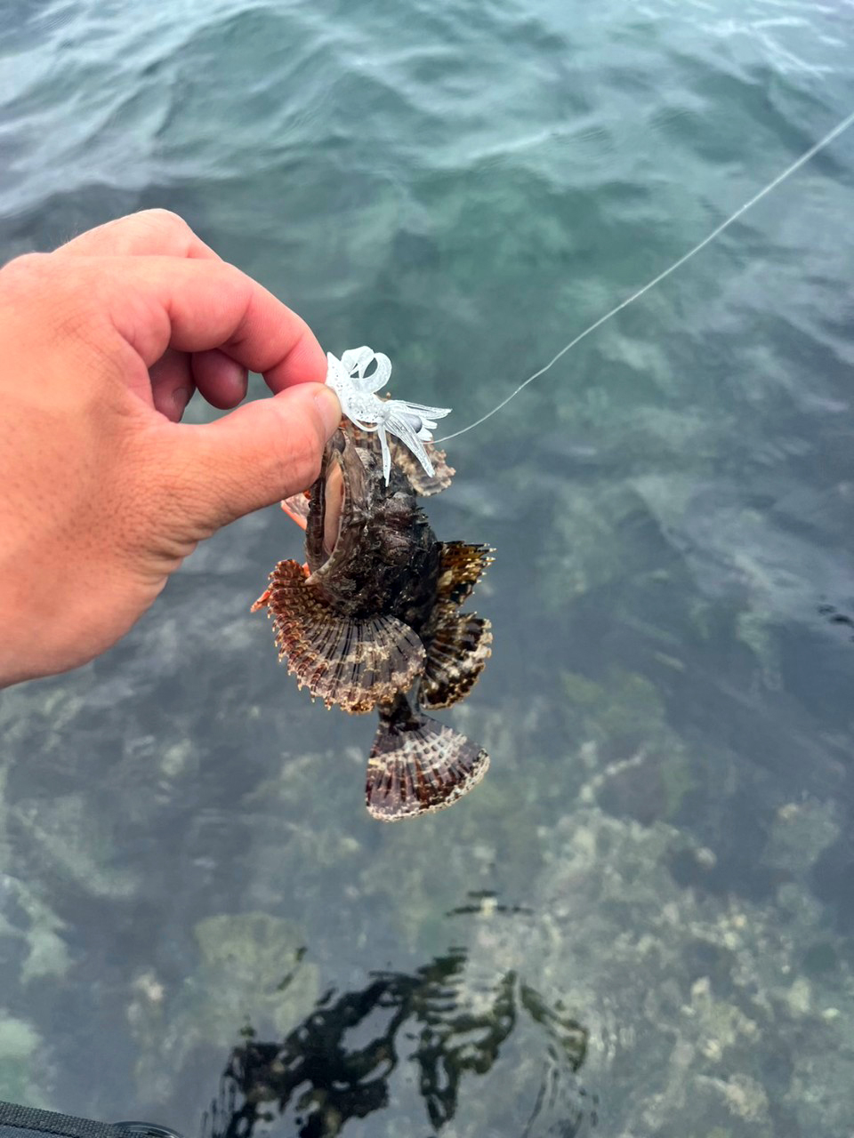 LINE_ALBUM_20230503教育訓練-麟山鼻海水根魚_230504_13