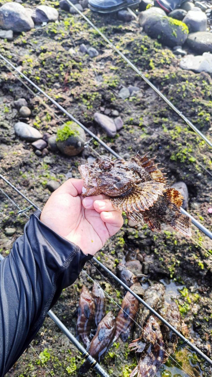 LINE_ALBUM_20230503教育訓練-麟山鼻海水根魚_230504_29