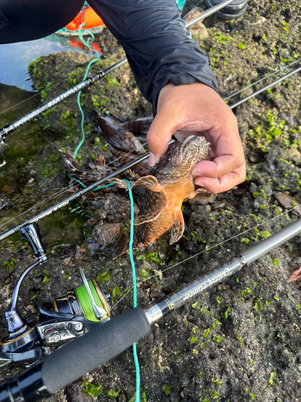 LINE_ALBUM_20230503教育訓練-麟山鼻海水根魚_230504_5