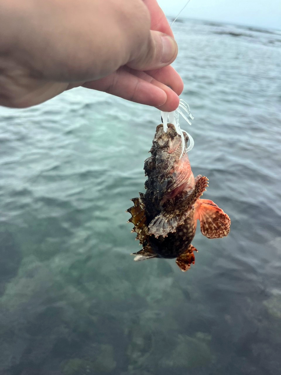 LINE_ALBUM_20230503教育訓練-麟山鼻海水根魚_230504_9