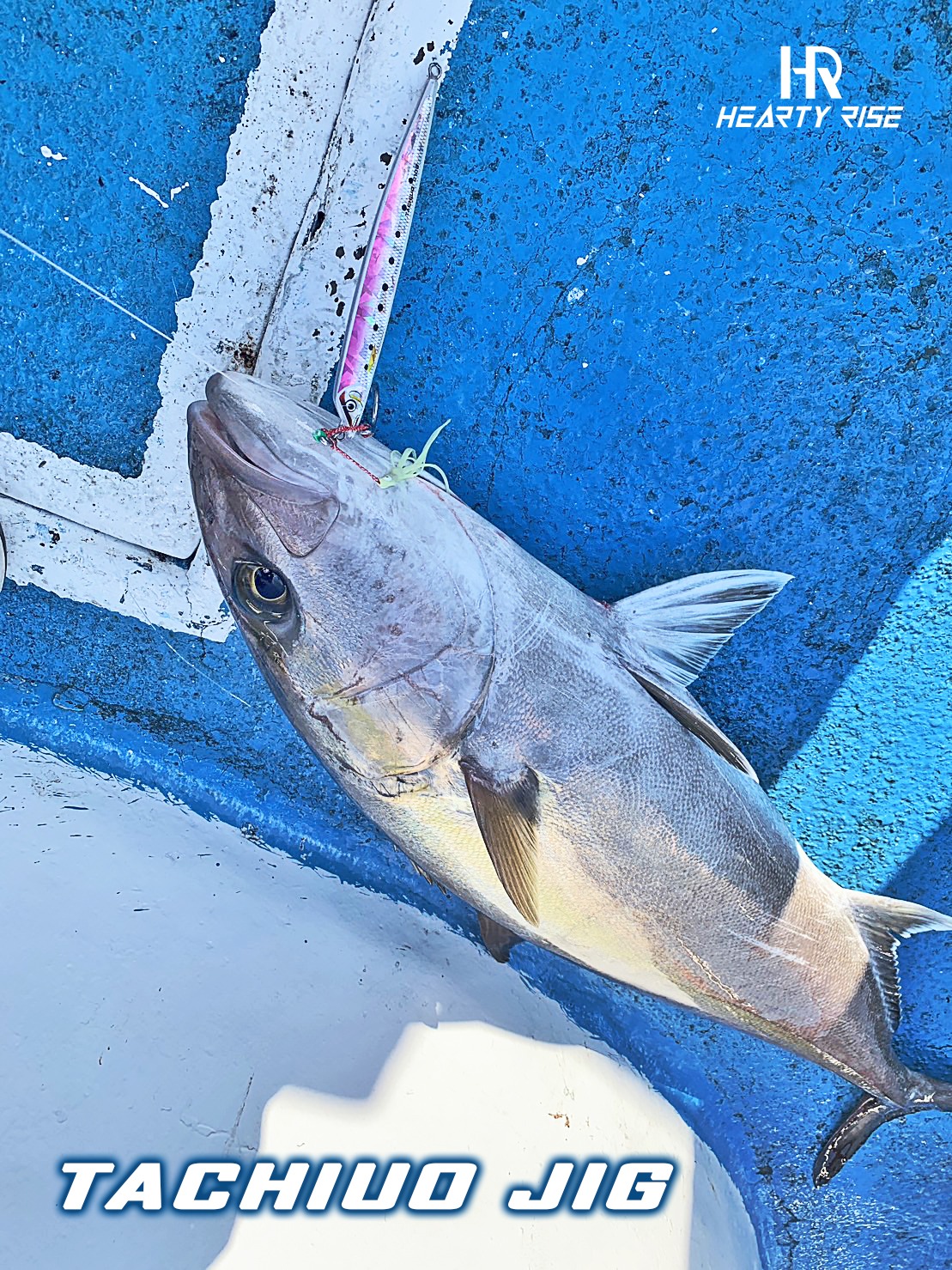 353407690_680848700721947_721596613094686320_n