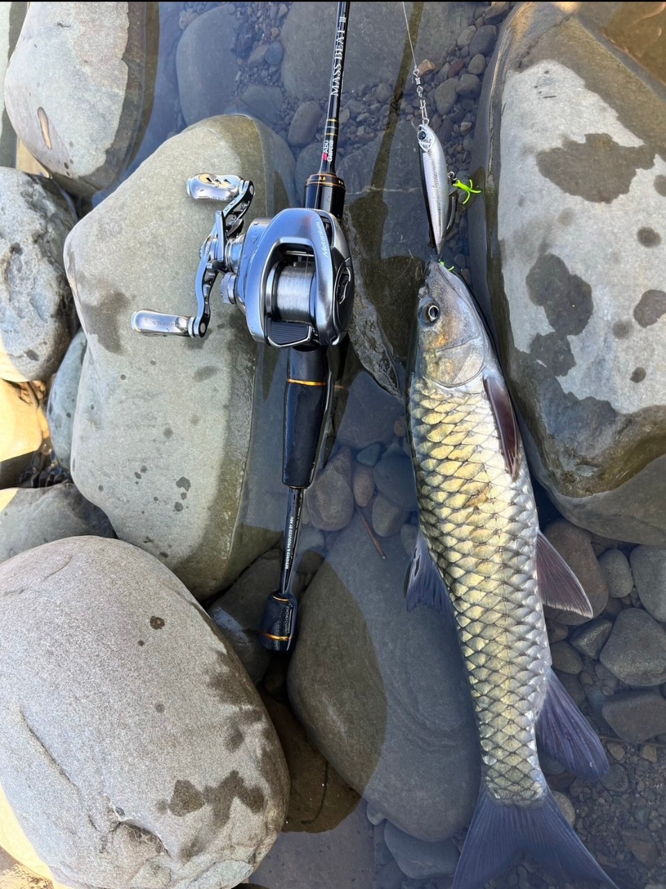 LINE_ALBUM_20230620南北合辦教育訓練-台中大甲溪_230621_11