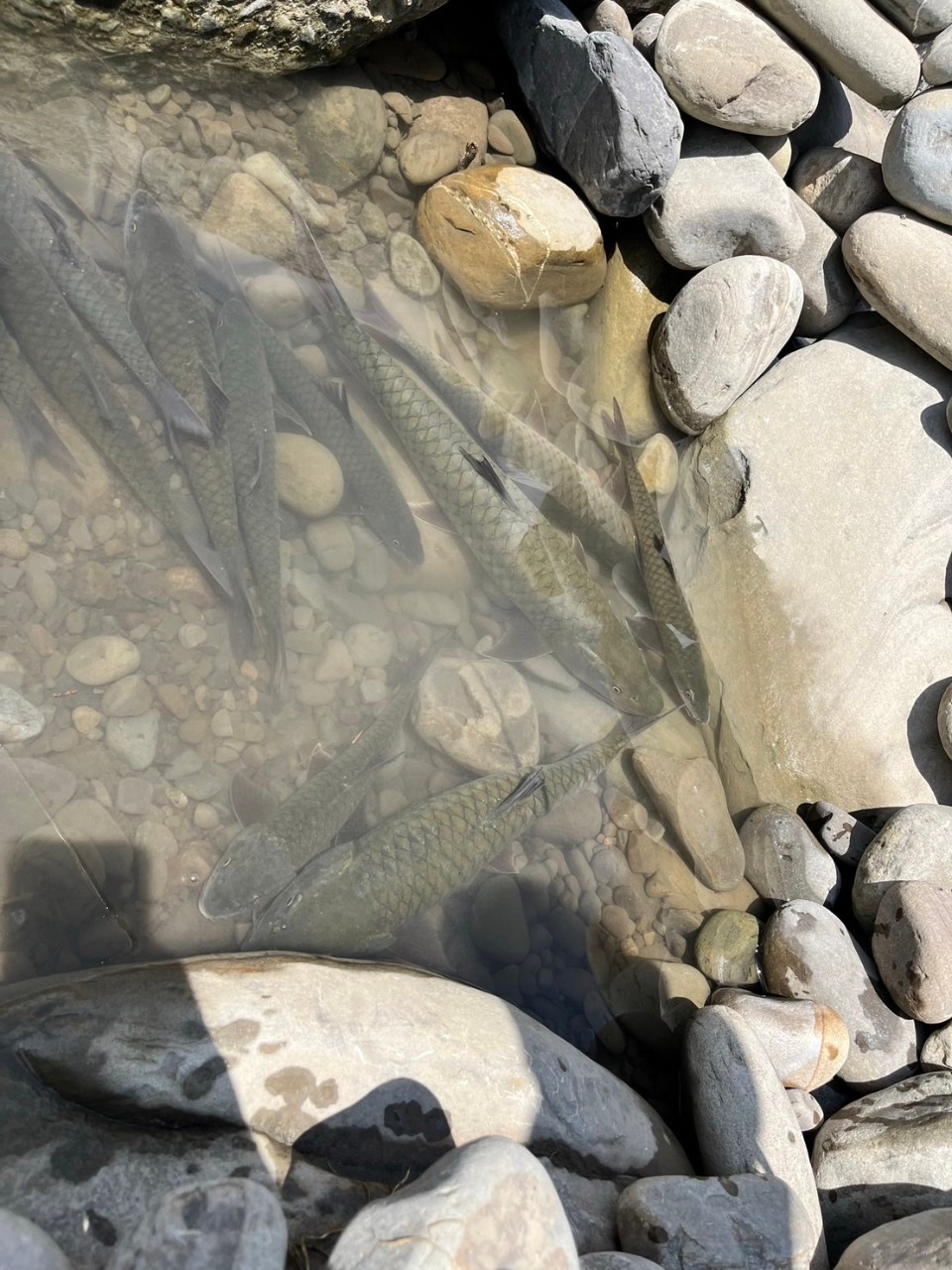 LINE_ALBUM_20230620南北合辦教育訓練-台中大甲溪_230621_12