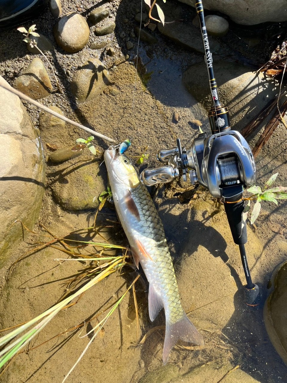 LINE_ALBUM_20230620南北合辦教育訓練-台中大甲溪_230621_13