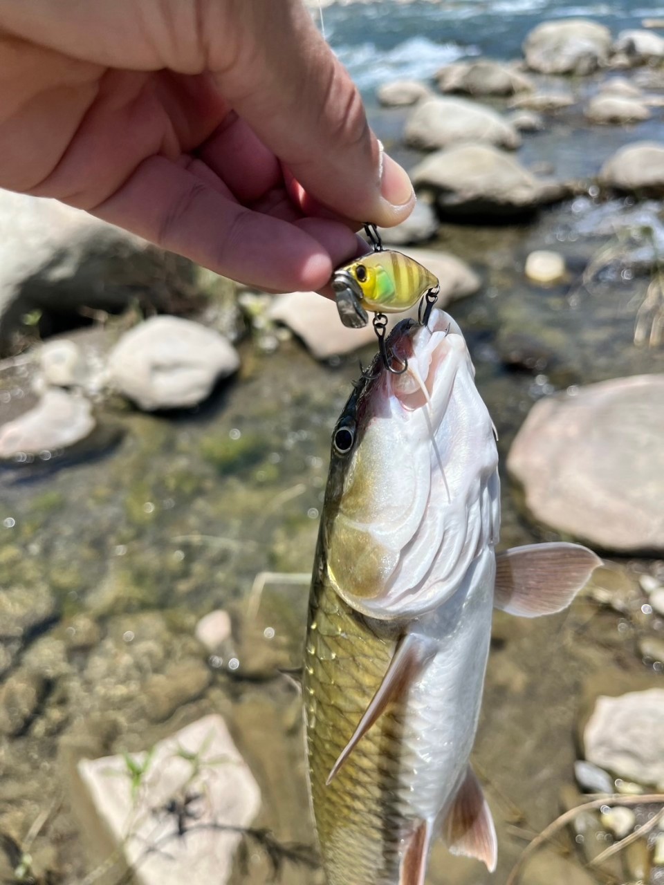 LINE_ALBUM_20230620南北合辦教育訓練-台中大甲溪_230621_15