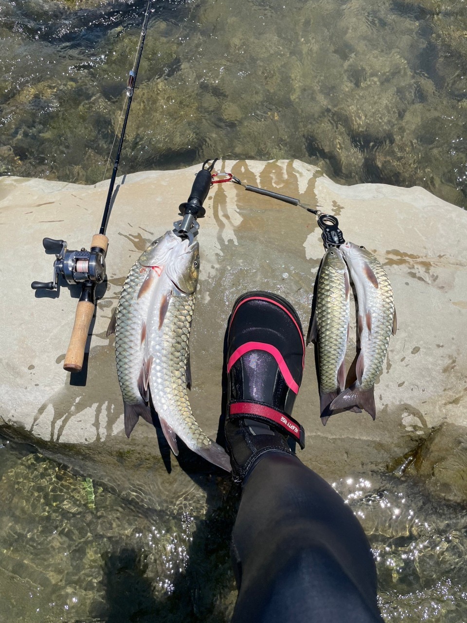 LINE_ALBUM_20230620南北合辦教育訓練-台中大甲溪_230621_4