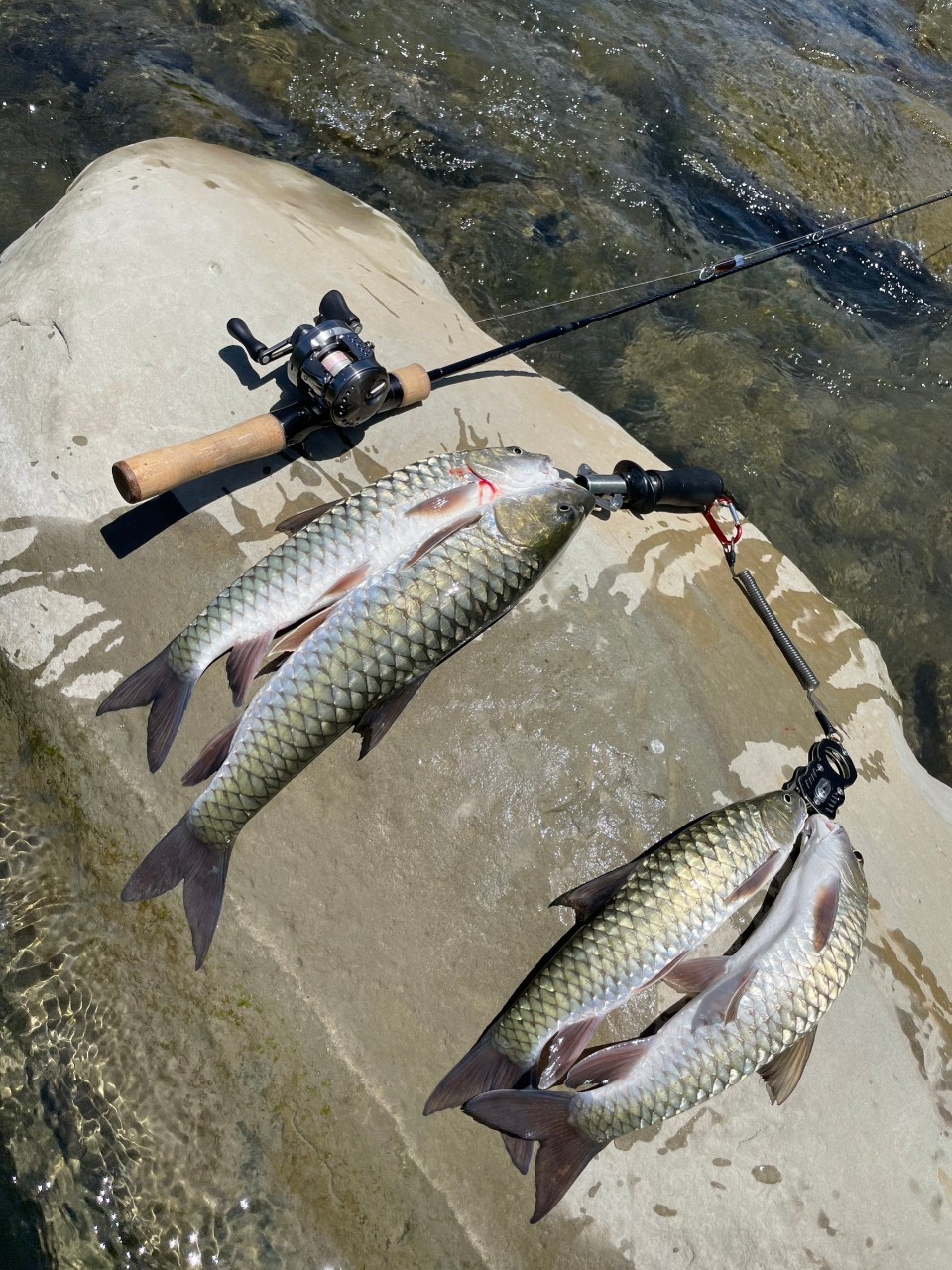 LINE_ALBUM_20230620南北合辦教育訓練-台中大甲溪_230621_5