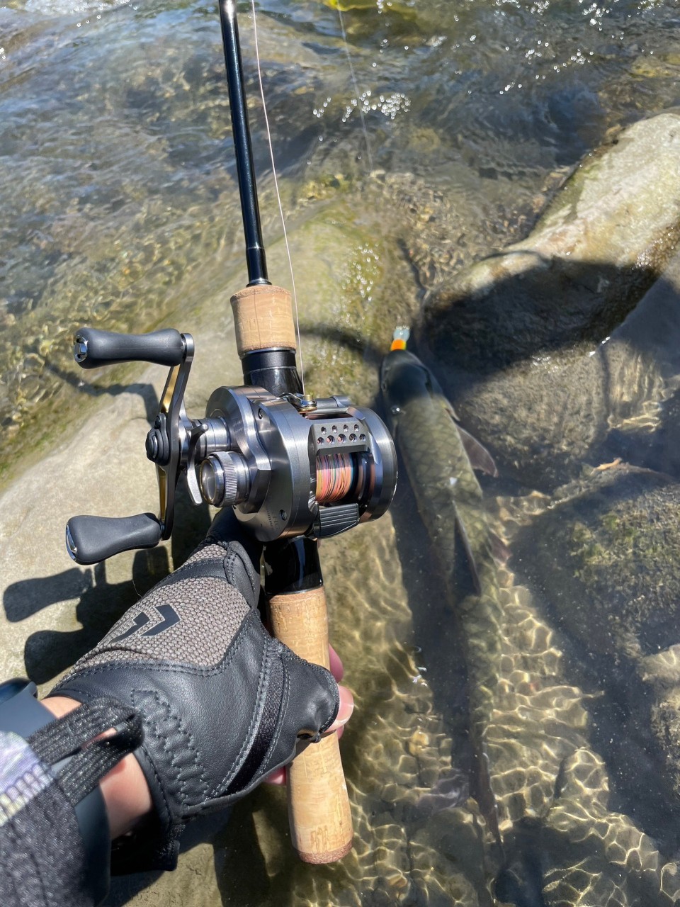 LINE_ALBUM_20230620南北合辦教育訓練-台中大甲溪_230621_6