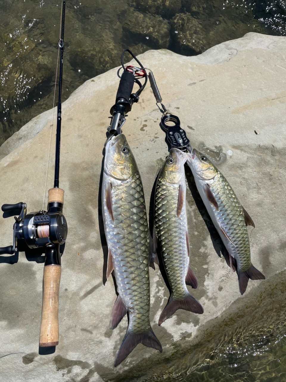 LINE_ALBUM_20230620南北合辦教育訓練-台中大甲溪_230621_8