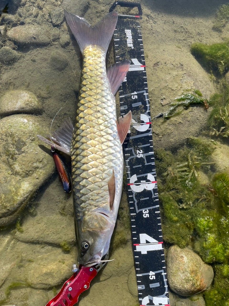 LINE_ALBUM_20230620南北合辦教育訓練-台中大甲溪_230621_9