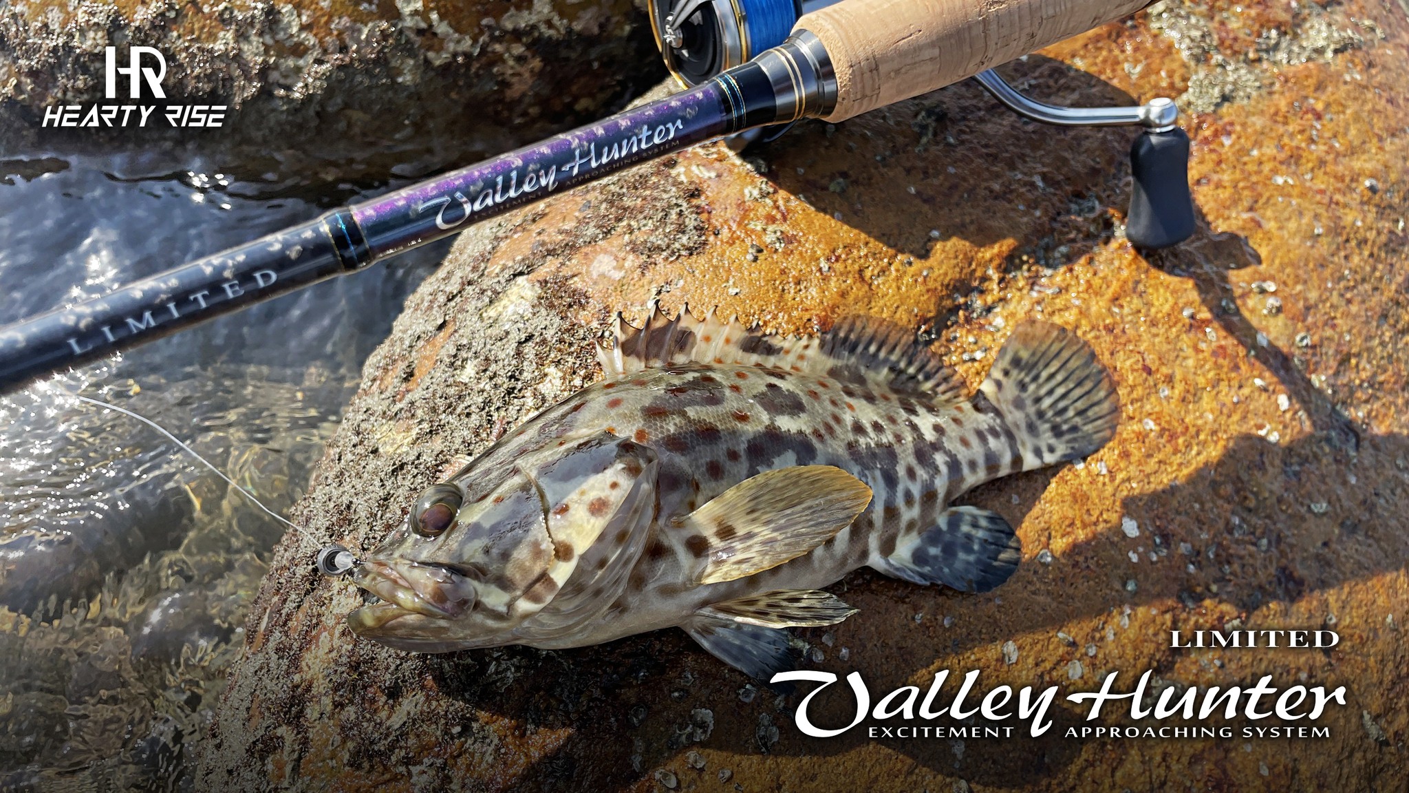 362932158_708230747983742_3926633059198564965_n