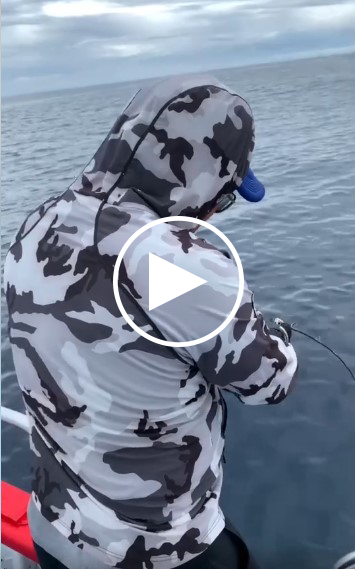 Screenshot 2023-07-14 095921