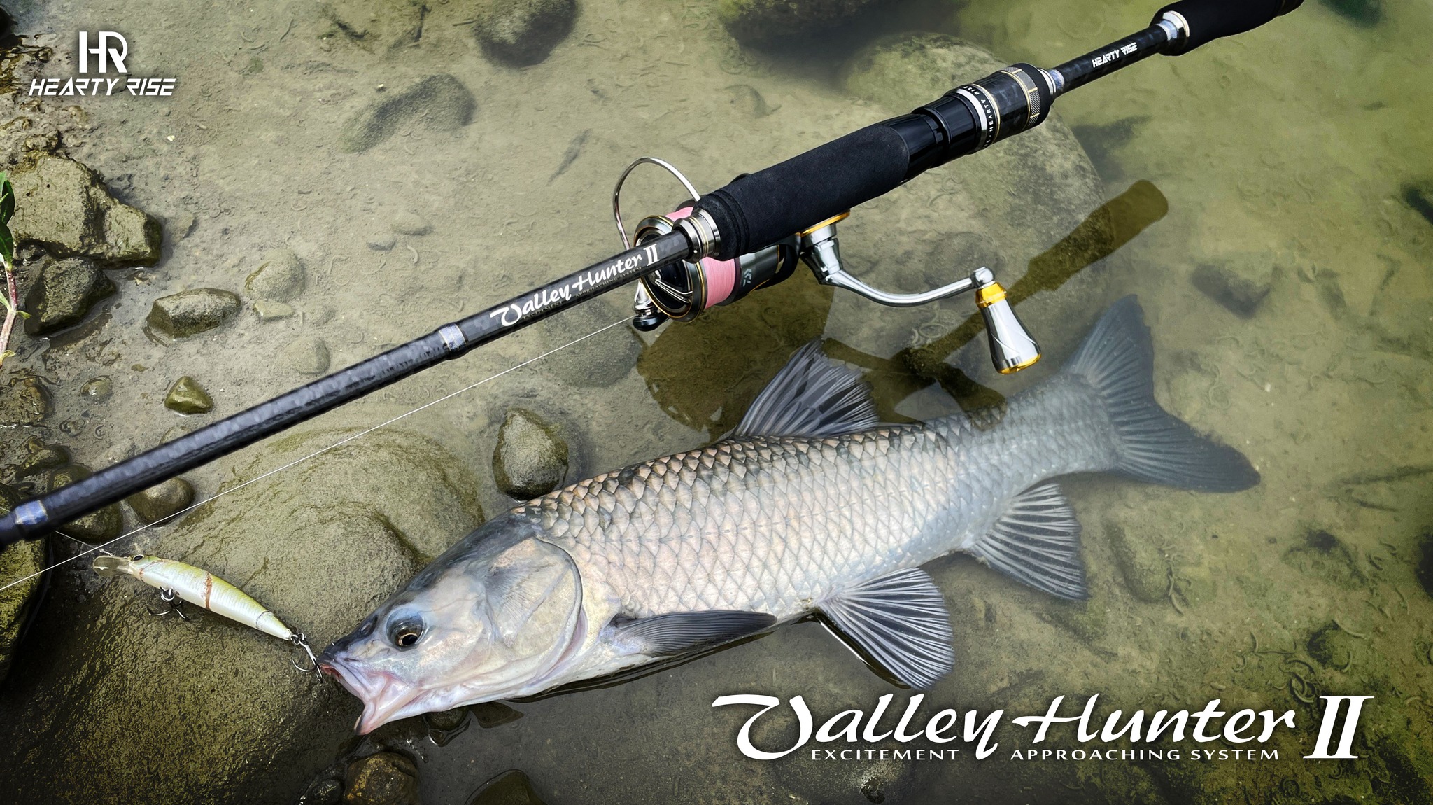 454685330_954842013322613_5972530300025174581_n