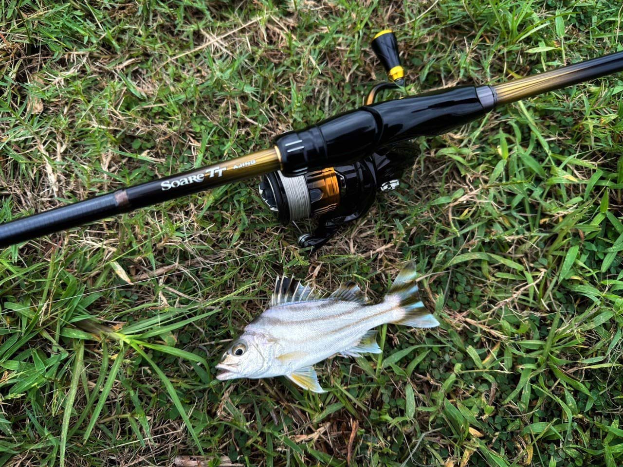 LINE_ALBUM_20241009北區教育訓練@士林社子島-岸拋海鱸_241011_11