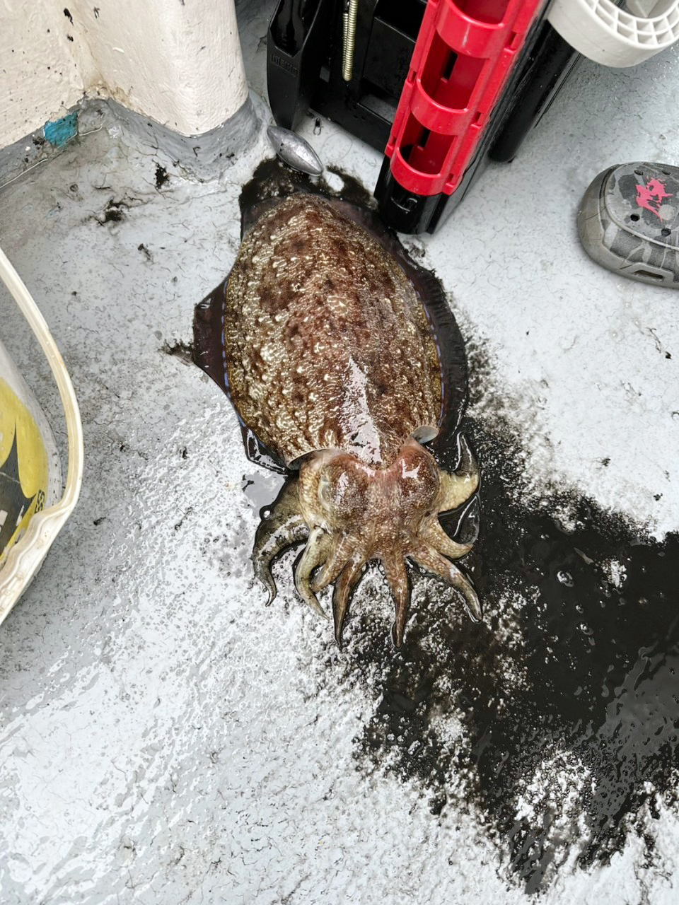 LINE_ALBUM_20250108北區教育訓練@基隆嶼船釣花軟_250109_13